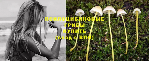 прущие крисы Инсар