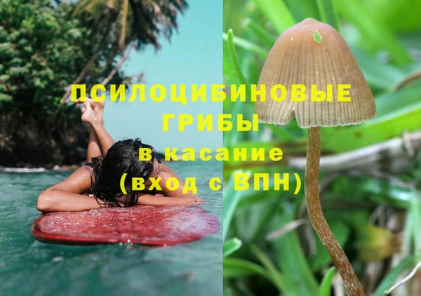 прущие крисы Инсар