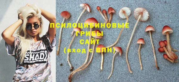 прущие крисы Инсар