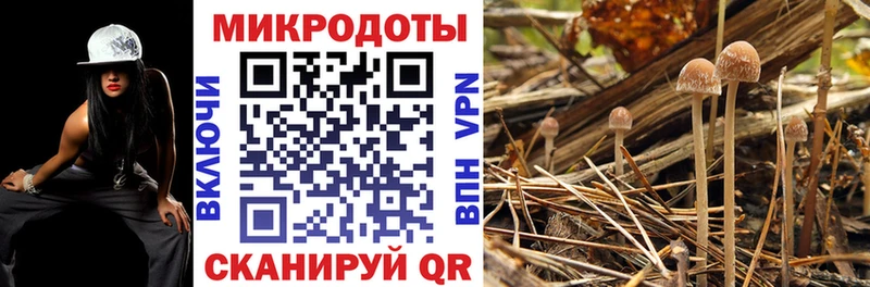 Псилоцибиновые грибы Cubensis  Купить закладки  Нижнеудинск 